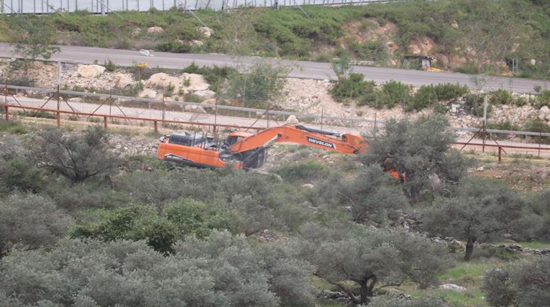 جرافات الاحتلال تجرف وتقتلع المئات من أشجار الزيتون المحاذية لجدار الفصل والتوسع العنصري في منطقة "القبلي" الواقعة بين قريتي دير قديس وخربثا بني حارث غرب رام الله لليوم الثاني على التوالي